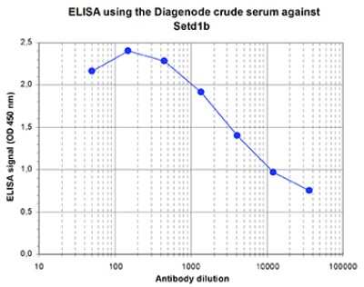 ELISA: SET1B Antibody [NBP3-18682]